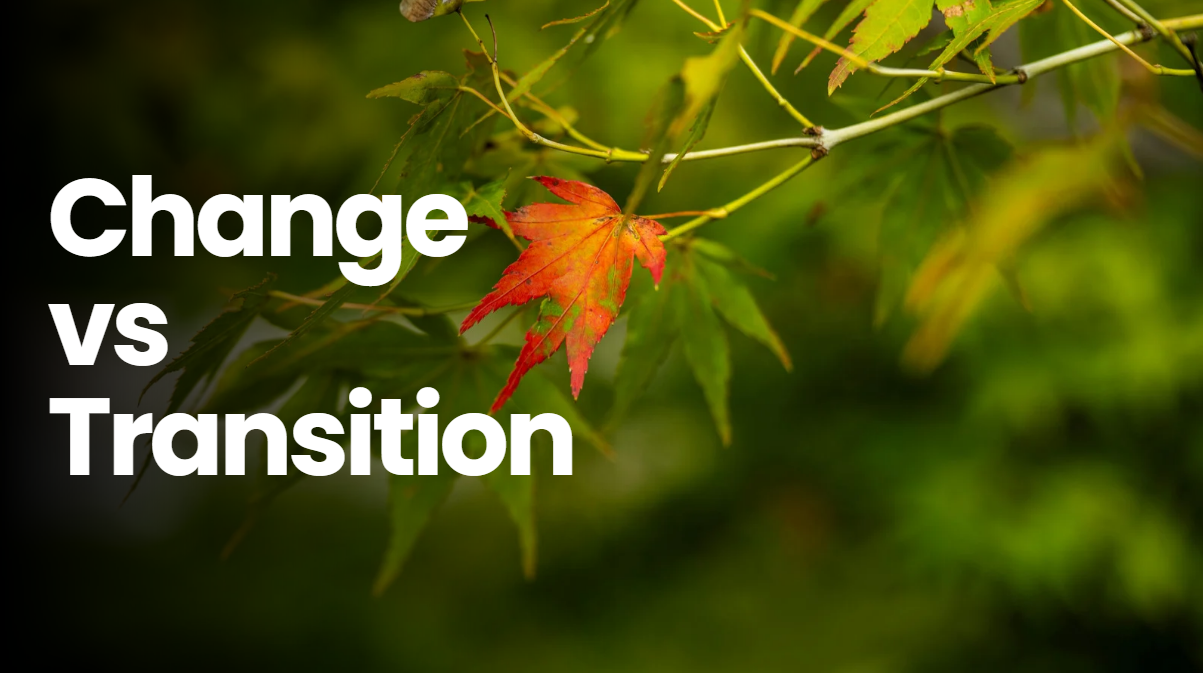 change vs transition