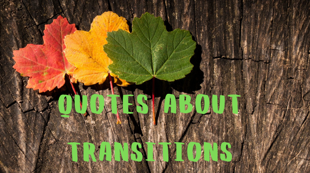 quotes about transitions