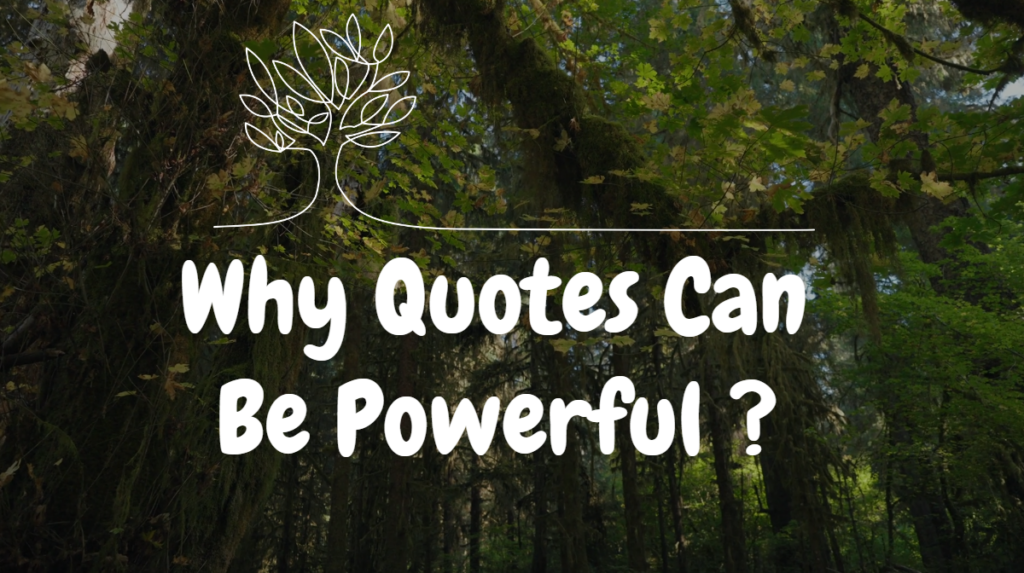 quotes about transitions